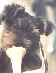 rufiicecream.jpg