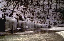 Clifty Creek Missouri, in Winter